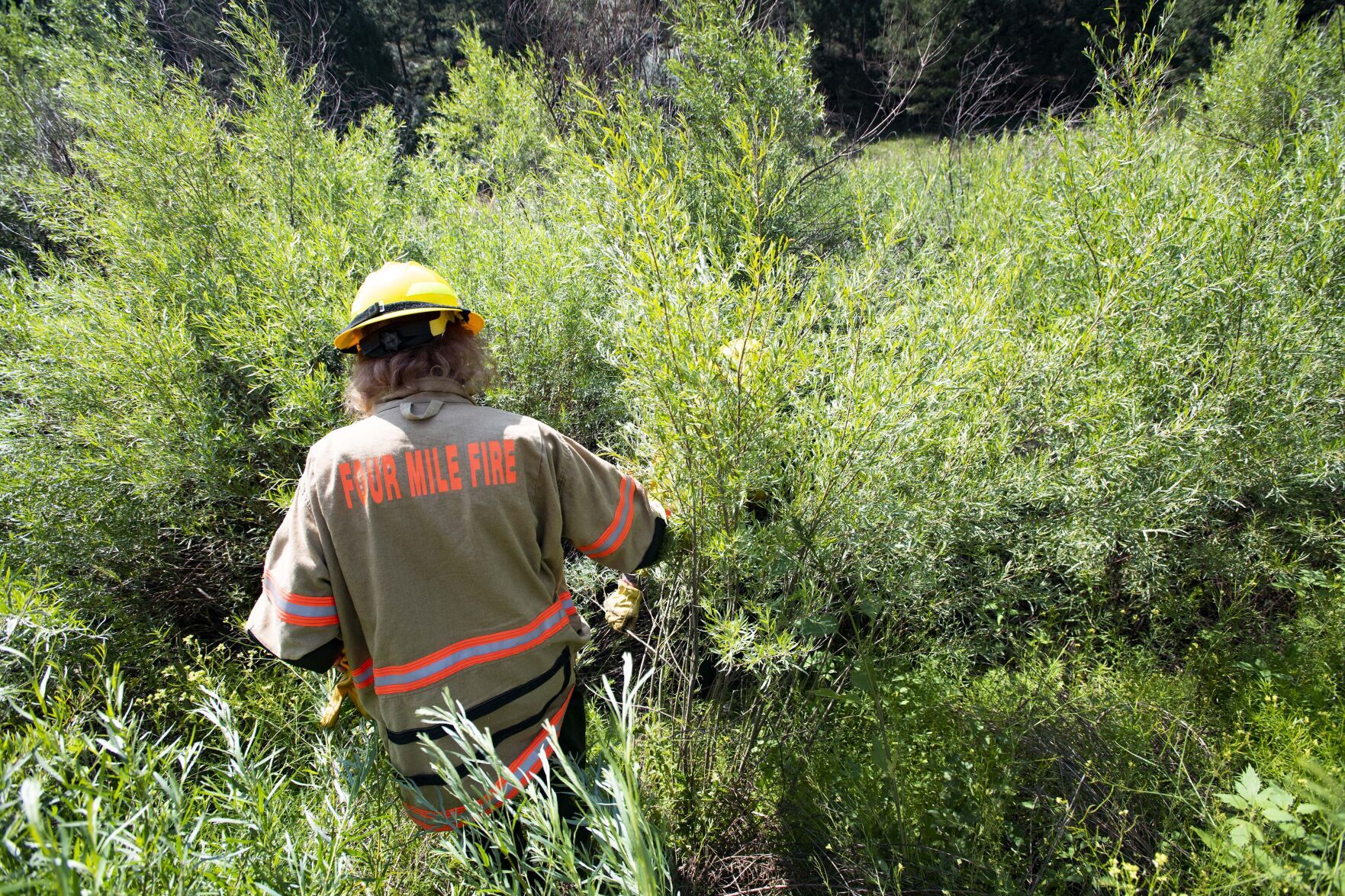 080121-news-fireplans 2.jpg